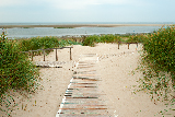 Langeoog